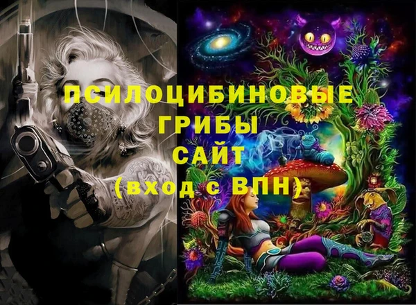 прущие грибы Богородицк
