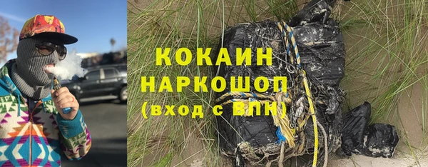 прущие грибы Богородицк