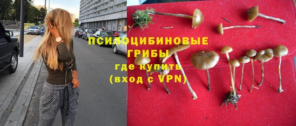 прущие грибы Богородицк