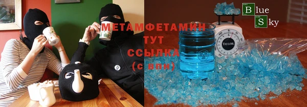 прущие грибы Богородицк
